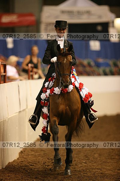 Proof Number 07r12_2585