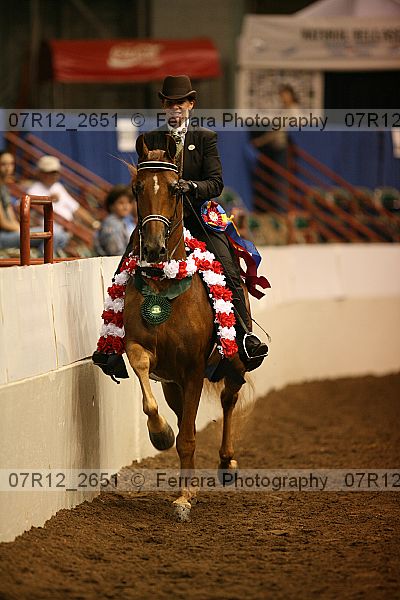 Proof Number 07r12_2651