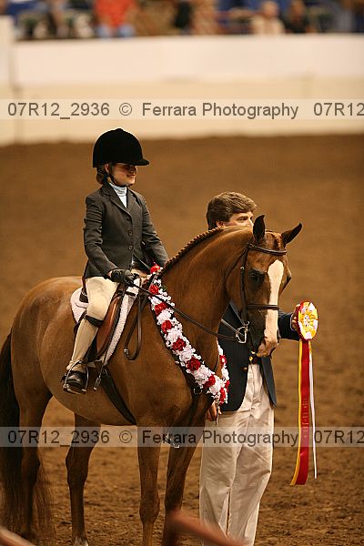 Proof Number 07r12_2936