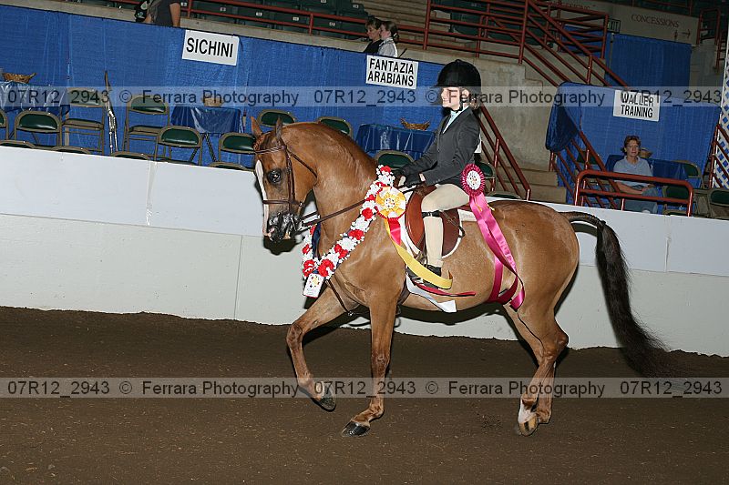 Proof Number 07r12_2943
