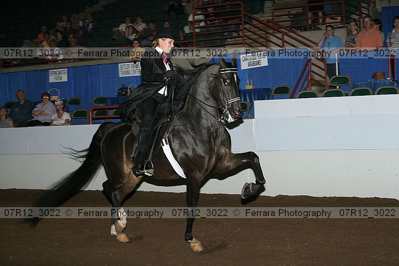 Proof Number 07r12_3022