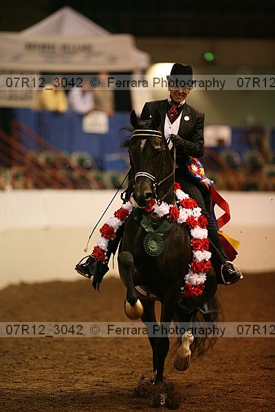 Proof Number 07r12_3042