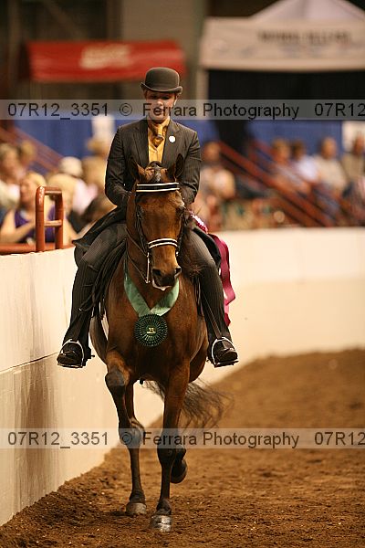Proof Number 07r12_3351
