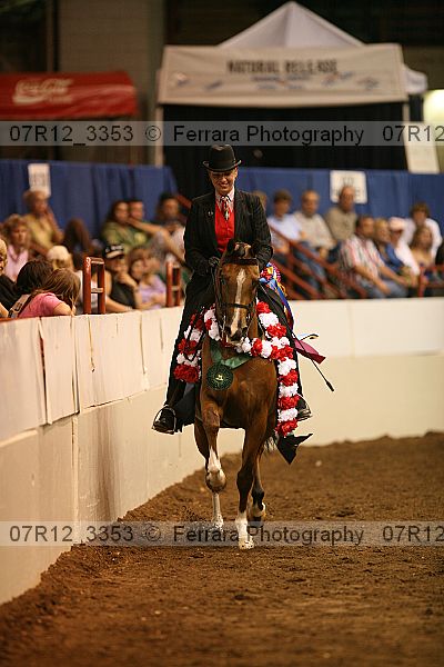 Proof Number 07r12_3353