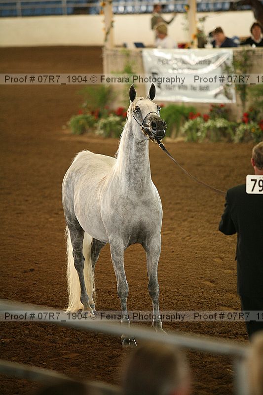 Proof Number 07r7_1904