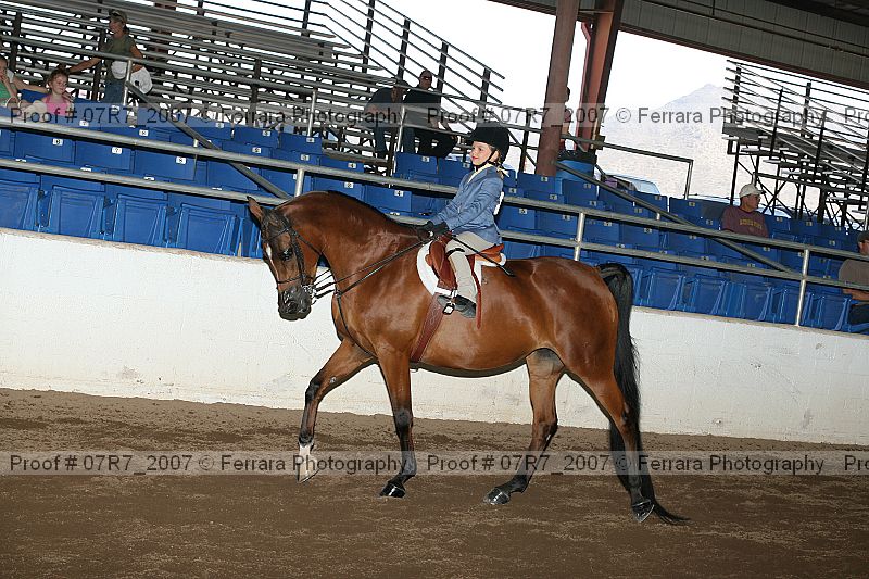 Proof Number 07r7_2007