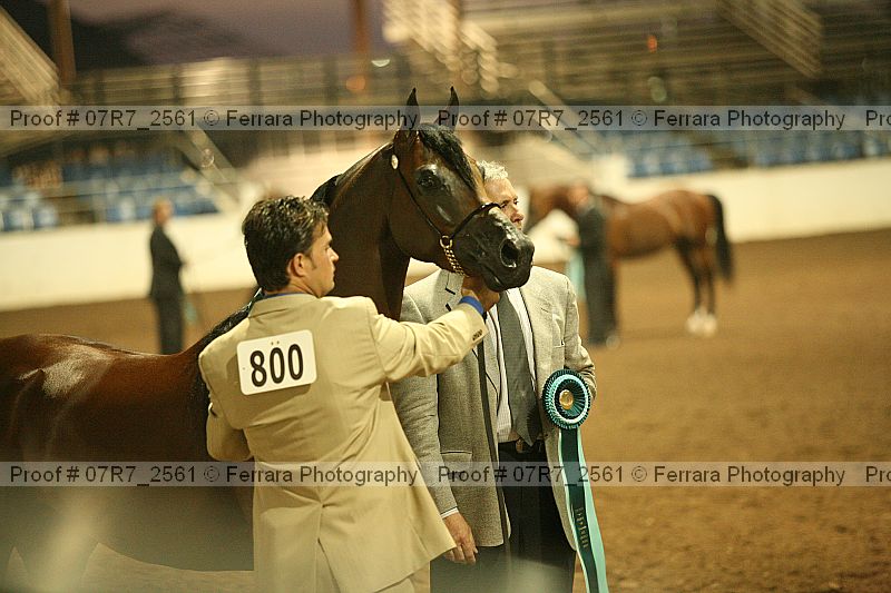 Proof Number 07r7_2561