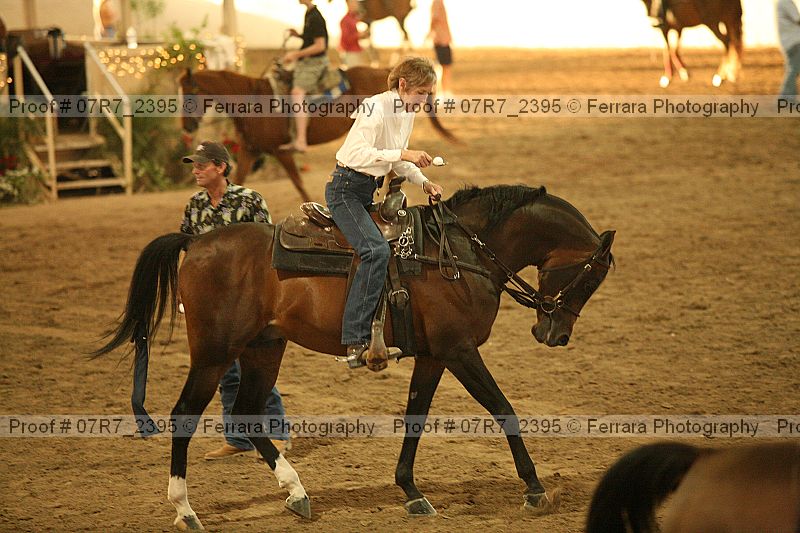 Proof Number 07r7_2395