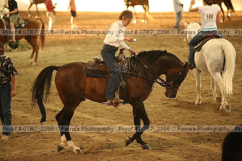 Proof Number 07r7_2396