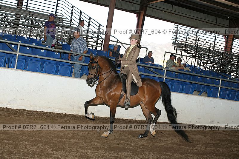 Proof Number 07r7_604