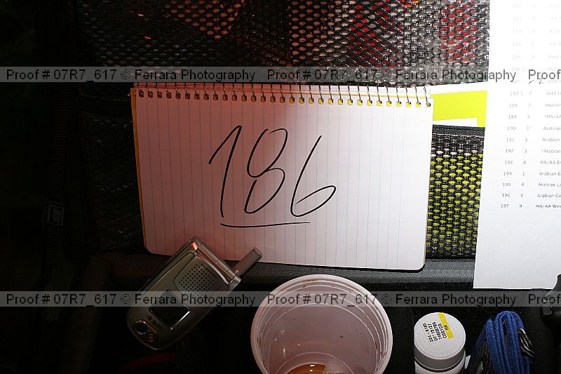 Proof Number 07r7_617