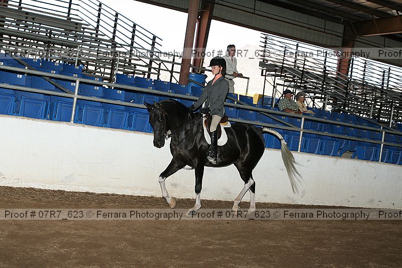 Proof Number 07r7_623