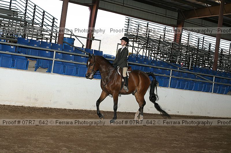 Proof Number 07r7_642