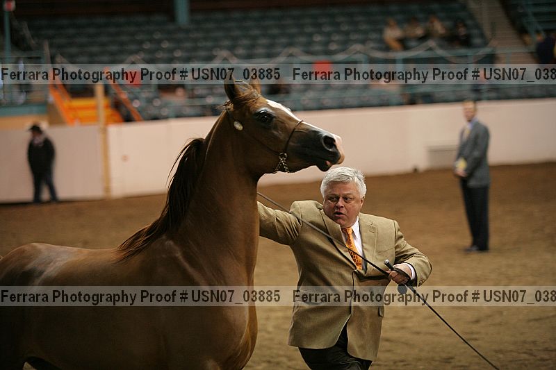 Proof Number usn07_03885