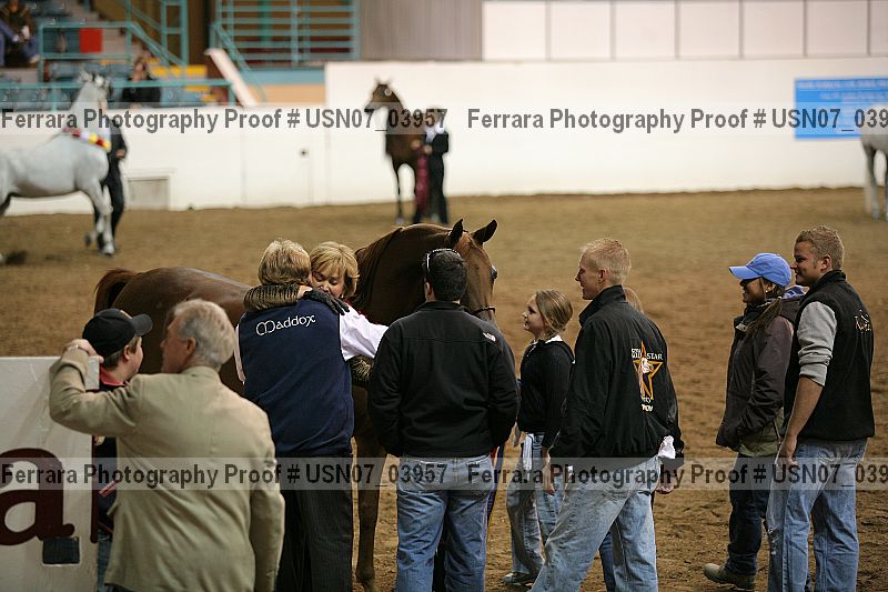 Proof Number usn07_03957