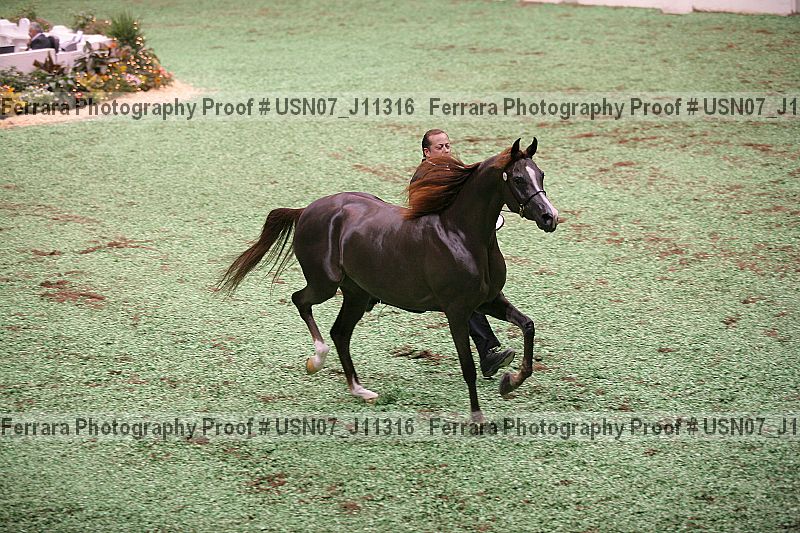 Proof Number usn07_j11316