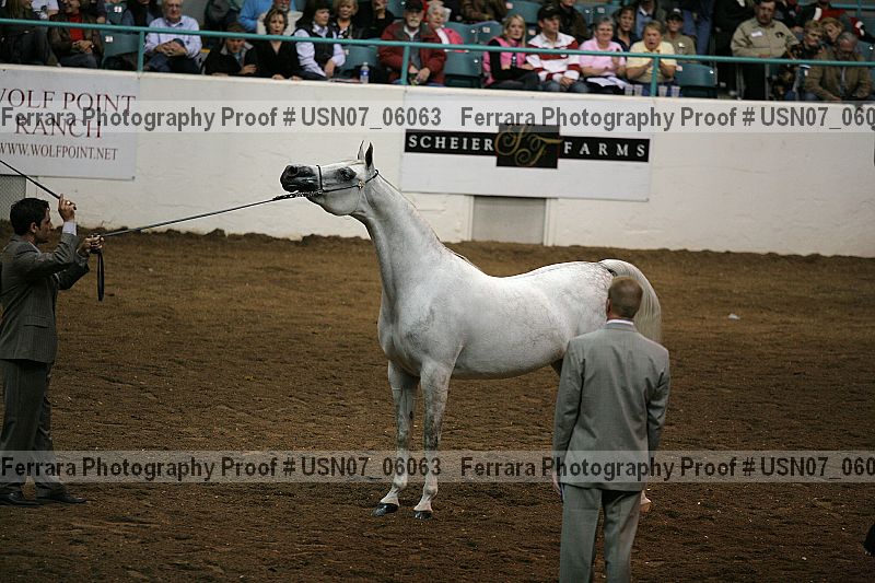 Proof Number usn07_06063