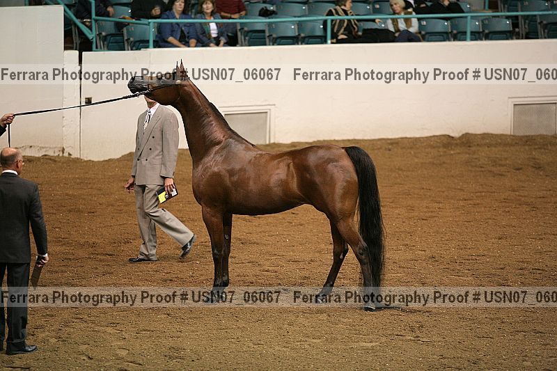 Proof Number usn07_06067