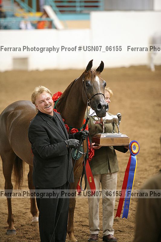 Proof Number usn07_06155