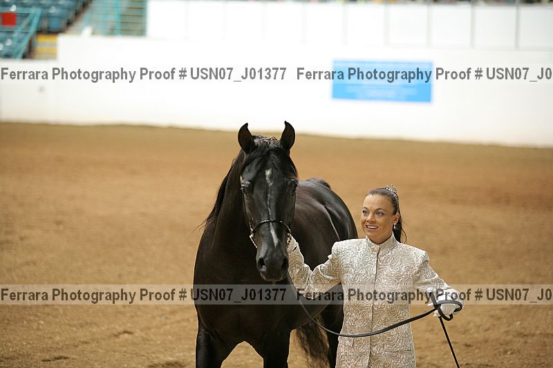 Proof Number usn07_j01377