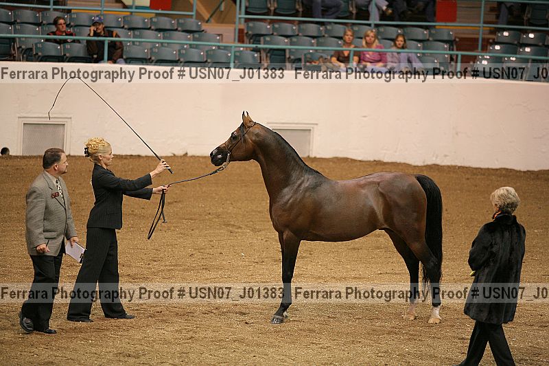 Proof Number usn07_j01383
