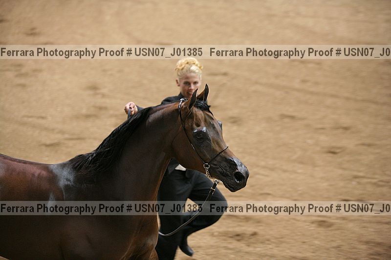 Proof Number usn07_j01385