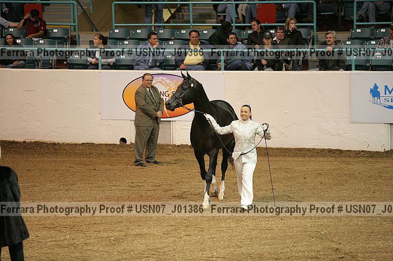 Proof Number usn07_j01386
