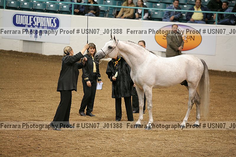 Proof Number usn07_j01388