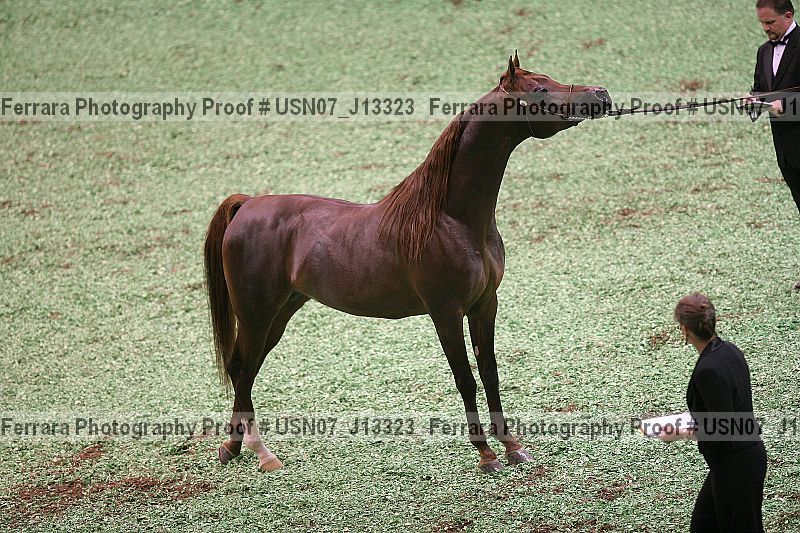 Proof Number usn07_j13323