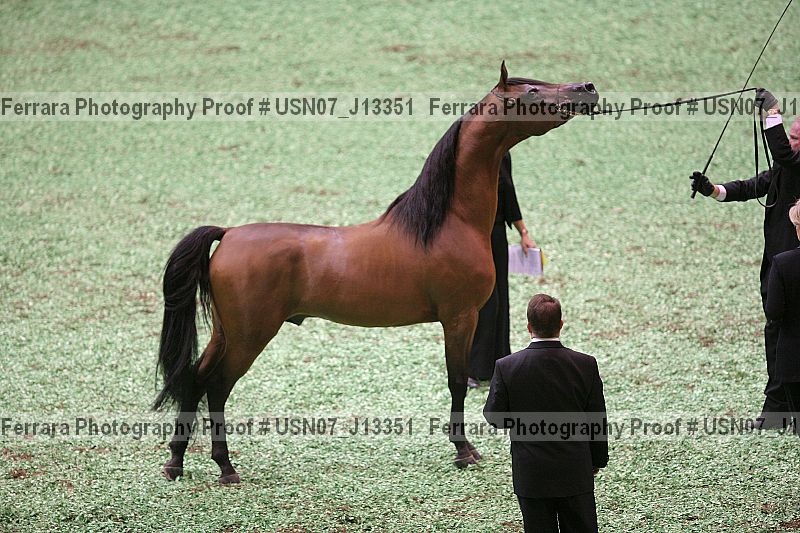 Proof Number usn07_j13351