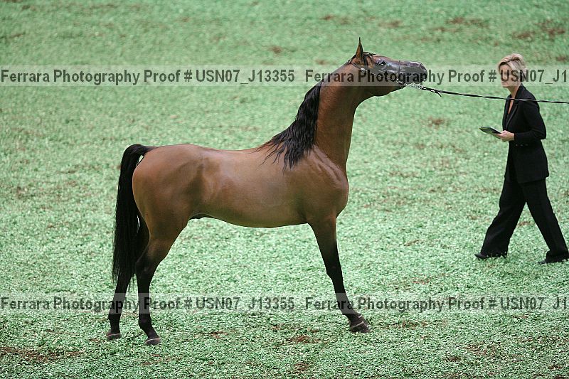Proof Number usn07_j13355