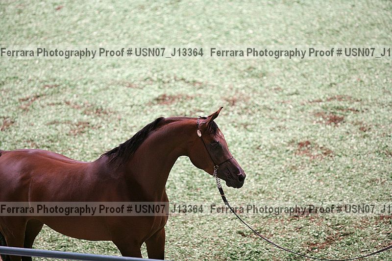Proof Number usn07_j13364