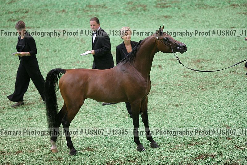 Proof Number usn07_j13365