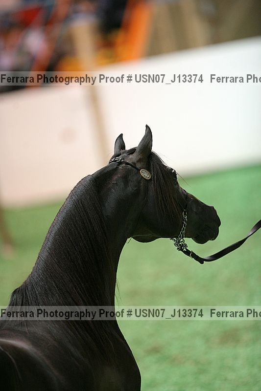 Proof Number usn07_j13374