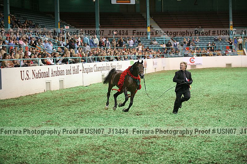 Proof Number usn07_j13434