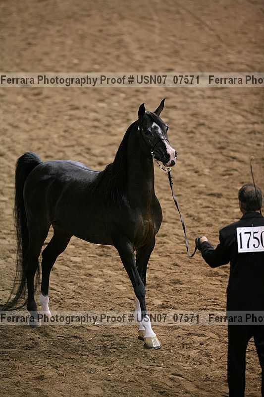 Proof Number usn07_07571