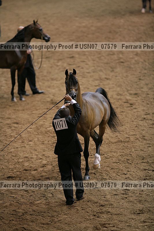 Proof Number usn07_07579