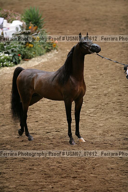 Proof Number usn07_07612