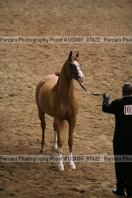 Proof Number usn07_07622