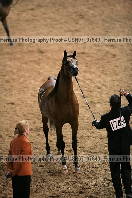 Proof Number usn07_07640