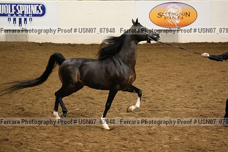Proof Number usn07_07948
