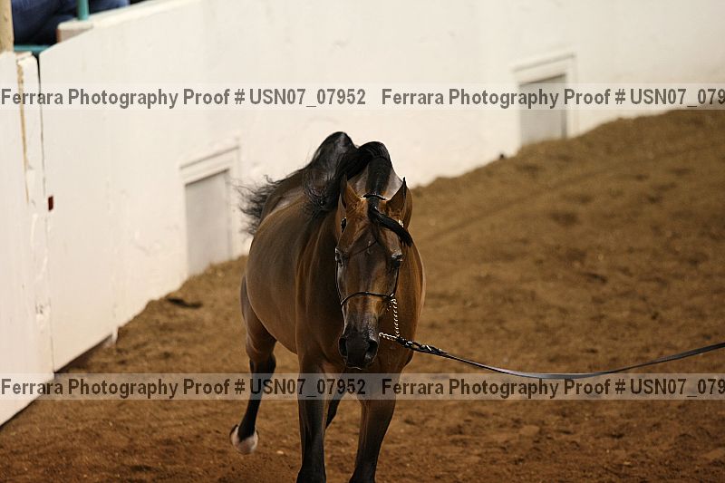 Proof Number usn07_07952