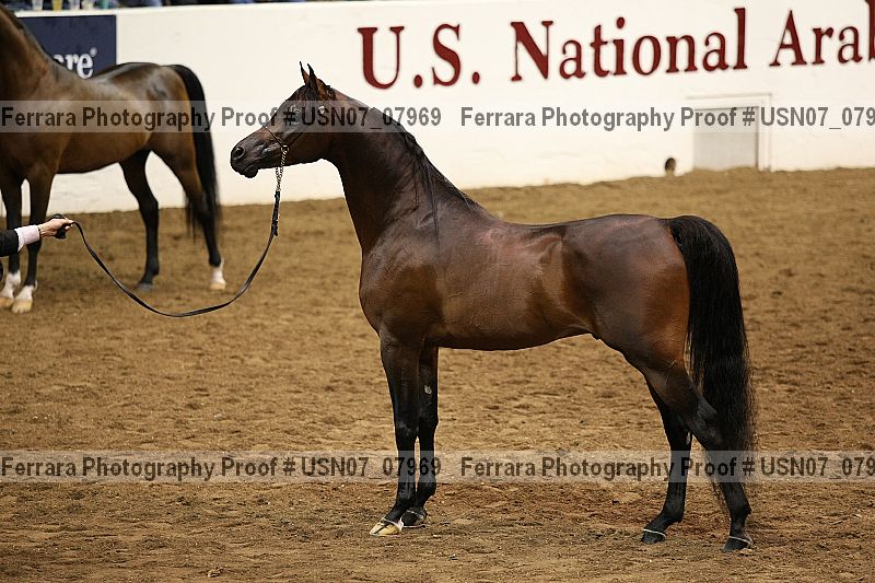 Proof Number usn07_07969