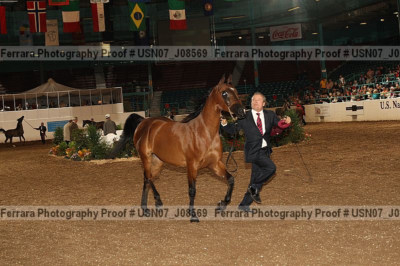 Proof Number usn07_j08569