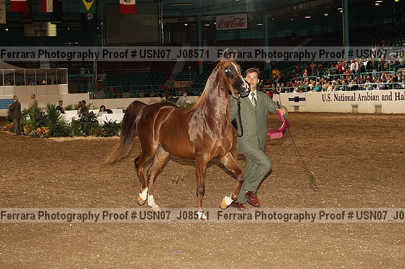 Proof Number usn07_j08571