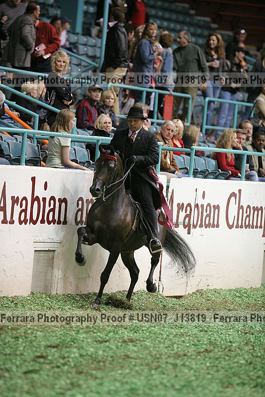 Proof Number usn07_j13819