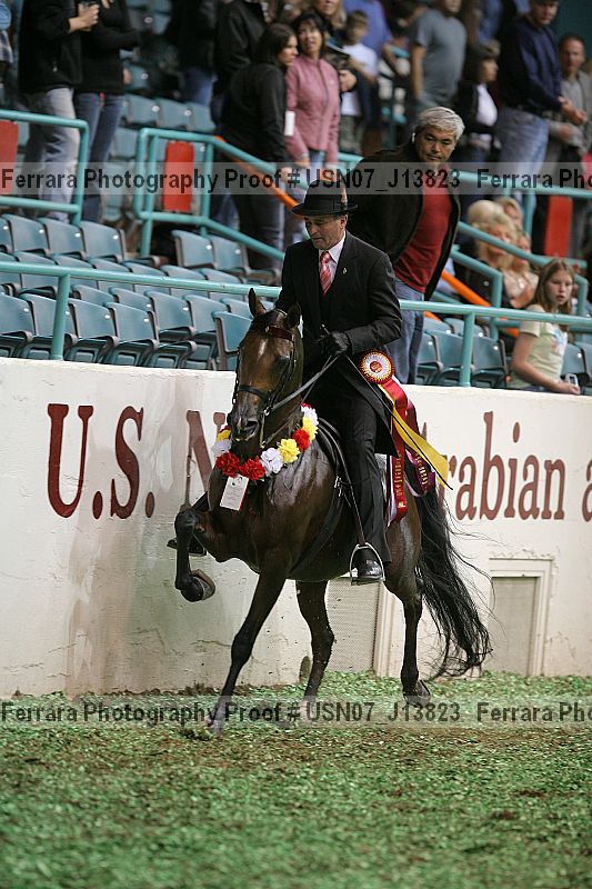 Proof Number usn07_j13823