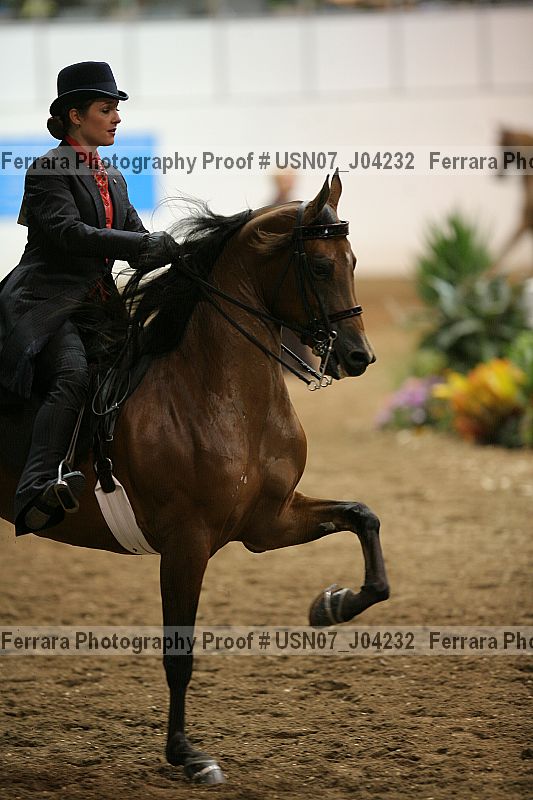 Proof Number usn07_j04232