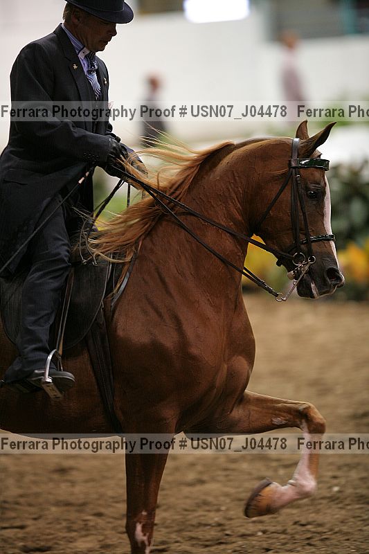Proof Number usn07_j04478