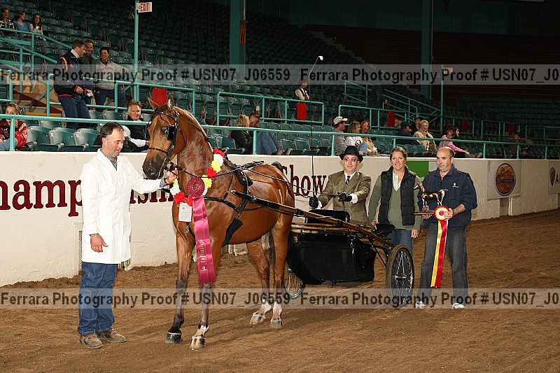 Proof Number usn07_j06559